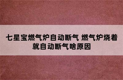 七星宝燃气炉自动断气 燃气炉烧着就自动断气啥原因